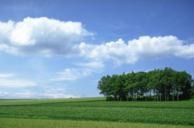 蓝天白云  湖泊  草原牧场