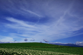 蓝天白云  湖泊  草原牧场