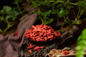 枸杞养生补品活动海报素材