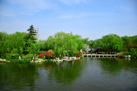 大明湖