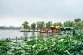 大明湖