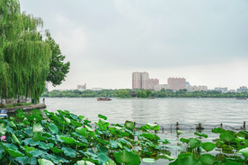 大明湖