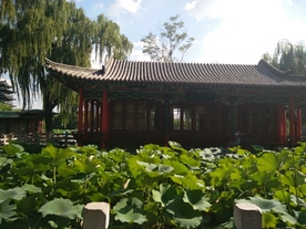 大明湖
