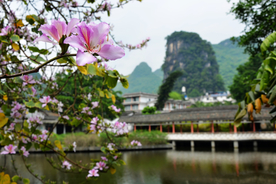 桂林