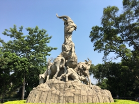 广州五羊