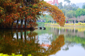 厦门大学
