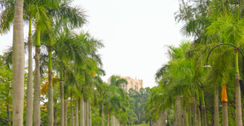 厦门大学