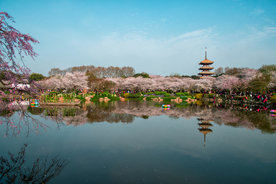 武汉