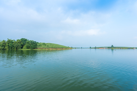 西津湿地公园