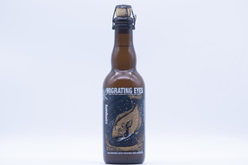 洋啤酒黑皮黑啤