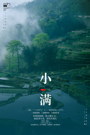 小满传统节日活动宣传海报素材