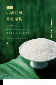 小满传统节日活动宣传海报素材