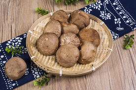 蘑菇香菇菜品背景海报素材