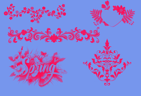 春天  花朵   花纹