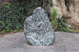 梅花石背景图片