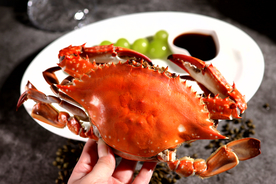 大闸蟹海鲜美食食材背景素材