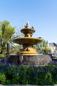 沈抚恒大养生谷鲤鱼海鸟喷泉