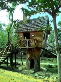 嘉义树屋