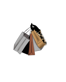 购物袋 手提袋 商店 促销