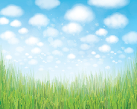 风景画 树叶 森林树叶  插画