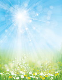 风景画 树叶 森林树叶  插画