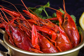 小龙虾美食食材背景海报素材