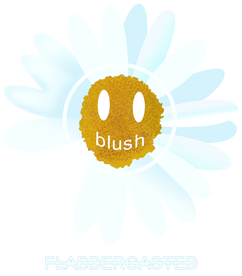 小雏菊 菊花 太阳花