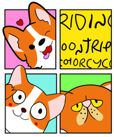 柯基 狗狗 四宫格 猫