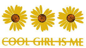 太阳花 菊花 三朵菊花