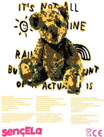 熊 杂色 太阳 彩虹