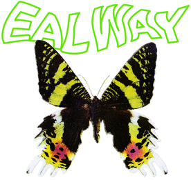 蝴蝶 彩色蝴蝶 裁片