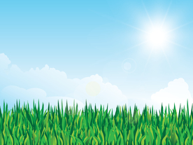 草地蓝天