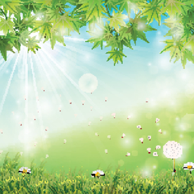 风景画 树叶 森林树叶  插画