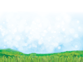 风景画 树叶 森林树叶  插画