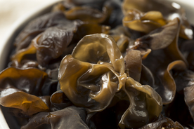 木耳美食食材背景海报素材