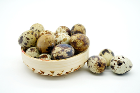 鸟蛋美食食材背景海报素材