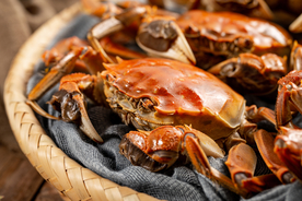 大闸蟹美食食材背景海报素材