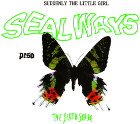 蝴蝶  昨天 彩色蝴蝶