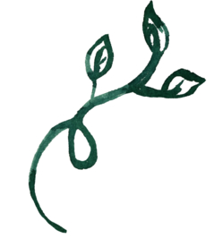 藤蔓 花型 花萼 设计