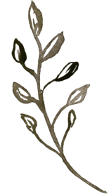 绿色 叶子 家纺 花型