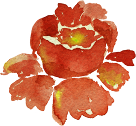 花朵 花型 设计