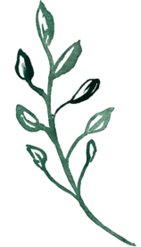 叶子 植被 绿色 床帘 床单