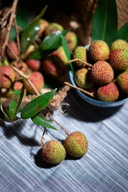 荔枝水果果实背景海报素材