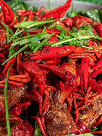 红色龙虾美食食材背景海报素材