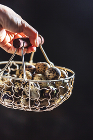 鸟蛋食材配料背景海报素材