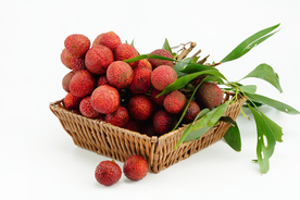 荔枝水果果实背景海报素材