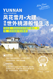 大理旅游旅行活动海报素材