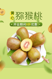 猕猴桃水果果实活动海报素材