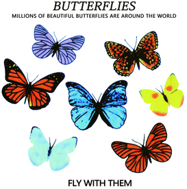 蝴蝶 彩色蝴蝶 T恤