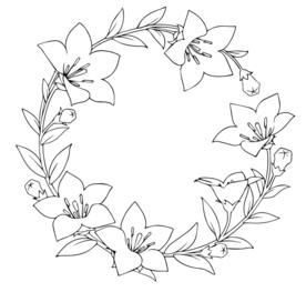 百合花